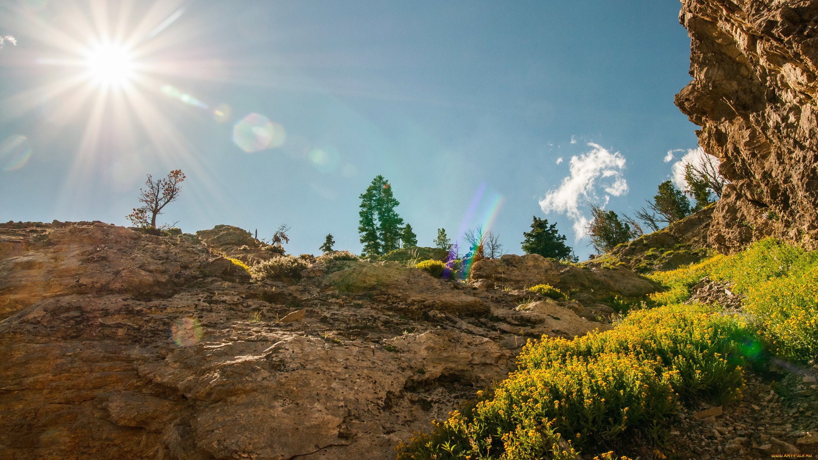 grand, teton, national, park, , , , 
